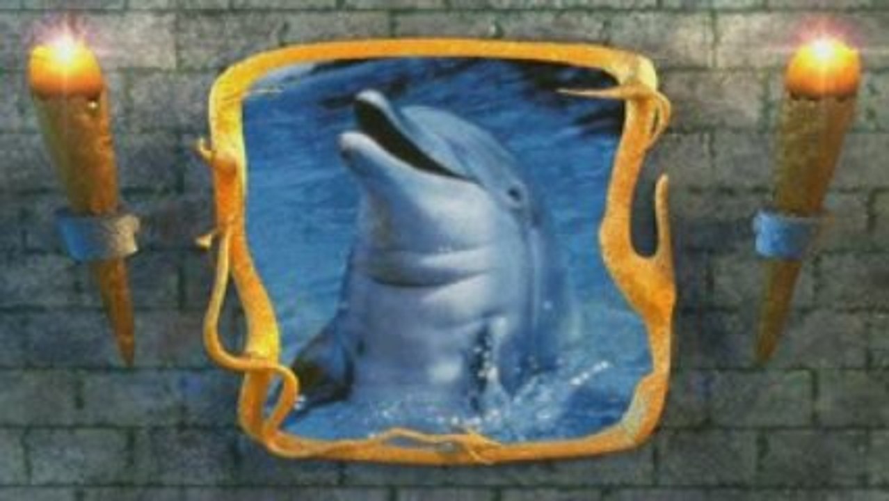 ma pasions les dauphins.