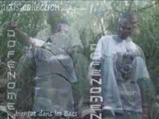 Découvrez le Catalogue Exclusive de l'Artis Collection - DoFénomen 🌟