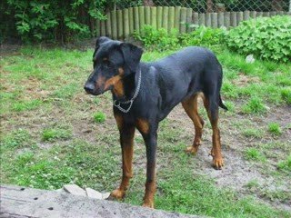 Montage photos Ulka 1er année