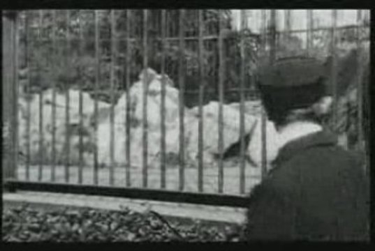 Les Frères Lumière - 1895 - Lion, London -