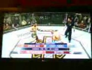 finish sur ufc 2009 undisputed