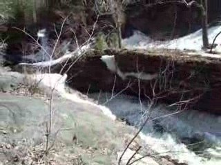 Vidéo Chutes de Kabir Kouba, Wendakemoyen