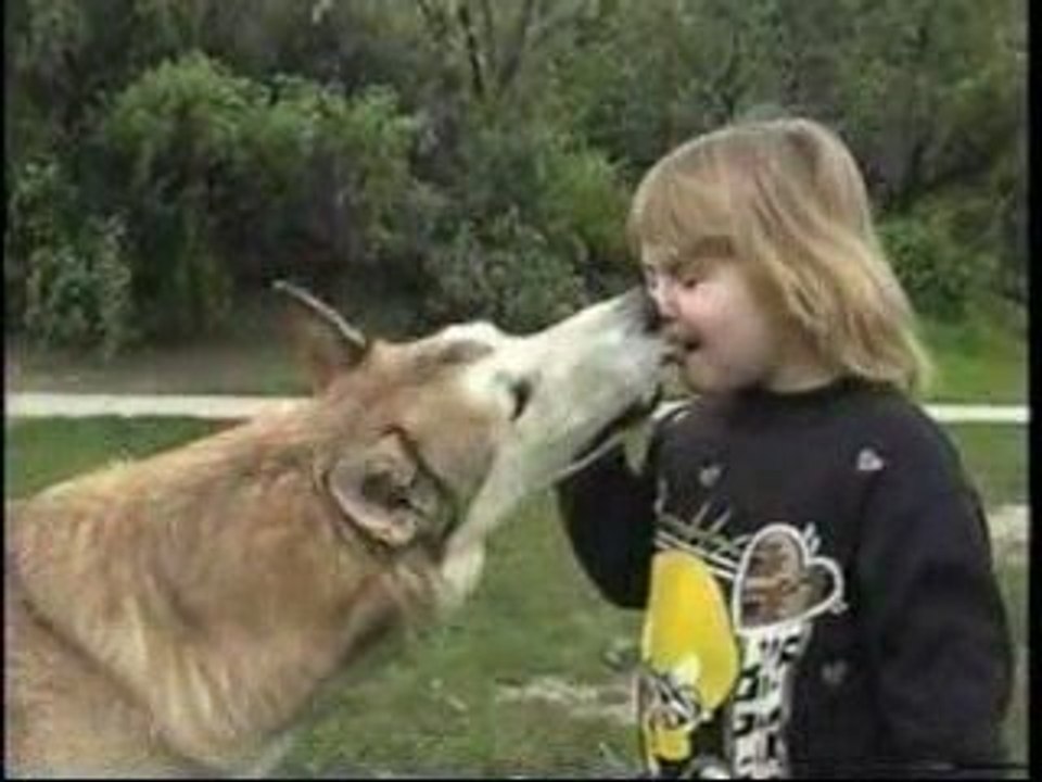 WOLF AND THE GIRL