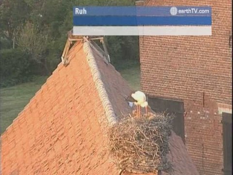 Dubrovnik - Croatia, Izmir - Turkey, Hamburg - Germany, Seattle - USA, Engelberg - Titlis - Switzerland, Ruhstadt - Germany, Vienna - Austria