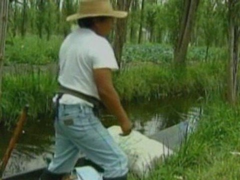 Oxfam launches campaign to help Mexican food producers