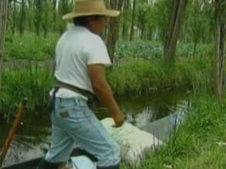 Oxfam launches campaign to help Mexican food producers