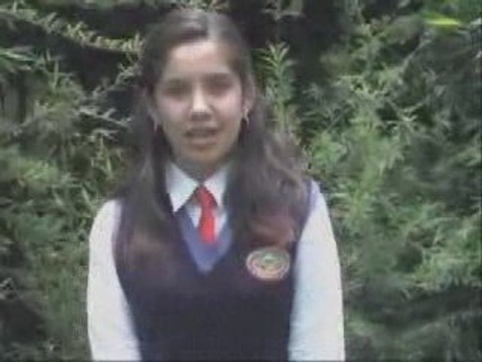 Primer video