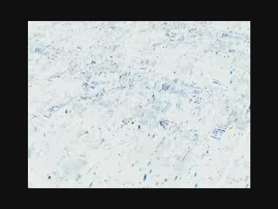 Speed Modeling City Flightview Christophe Fauconneau