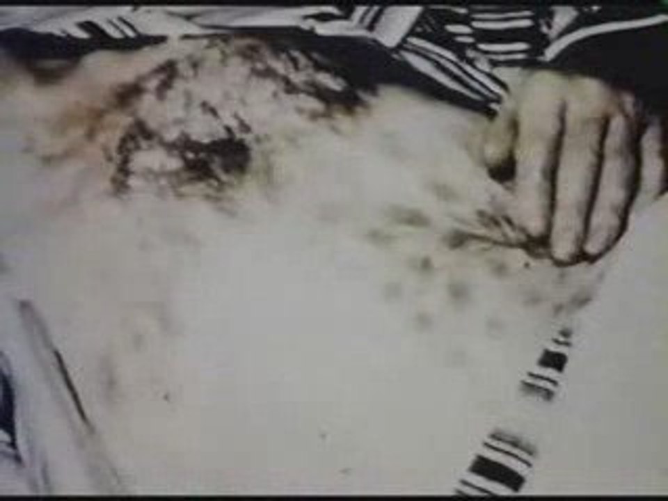 mysteres l'ovni de Falkon Lake soucoupe