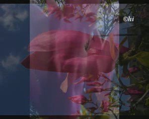 Francis Goya - Romance De Amour