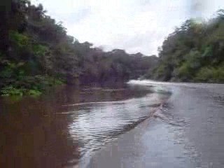 JET ATLANTIC en Guyane sur le Kourou
