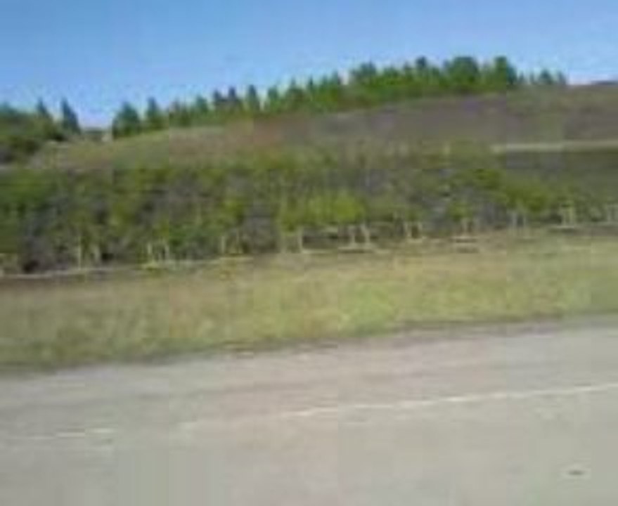 Blaster RS12 vs Nitro Jaguar