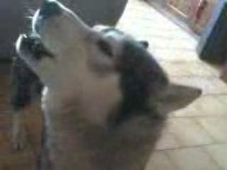 Amour goire et beauté..