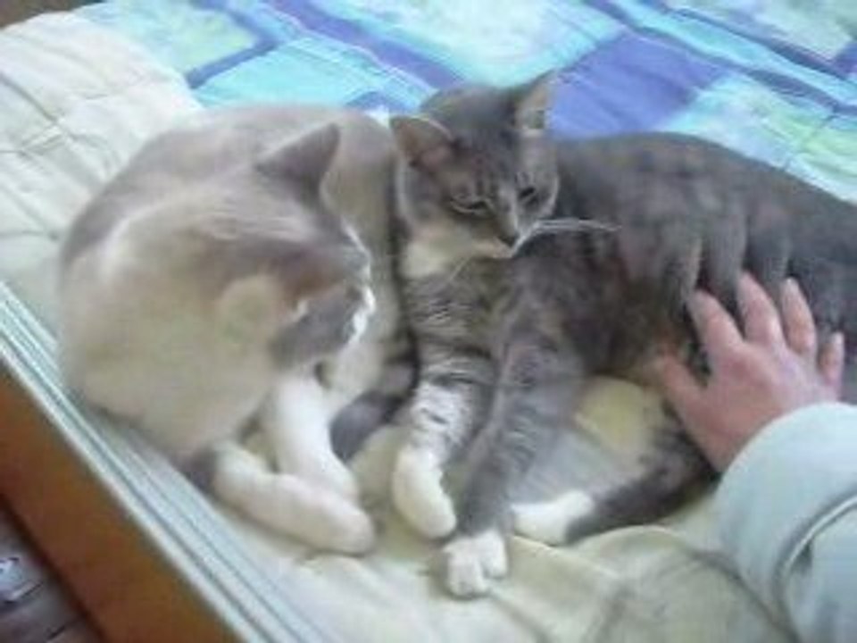 Nuage et Mario les amoureux