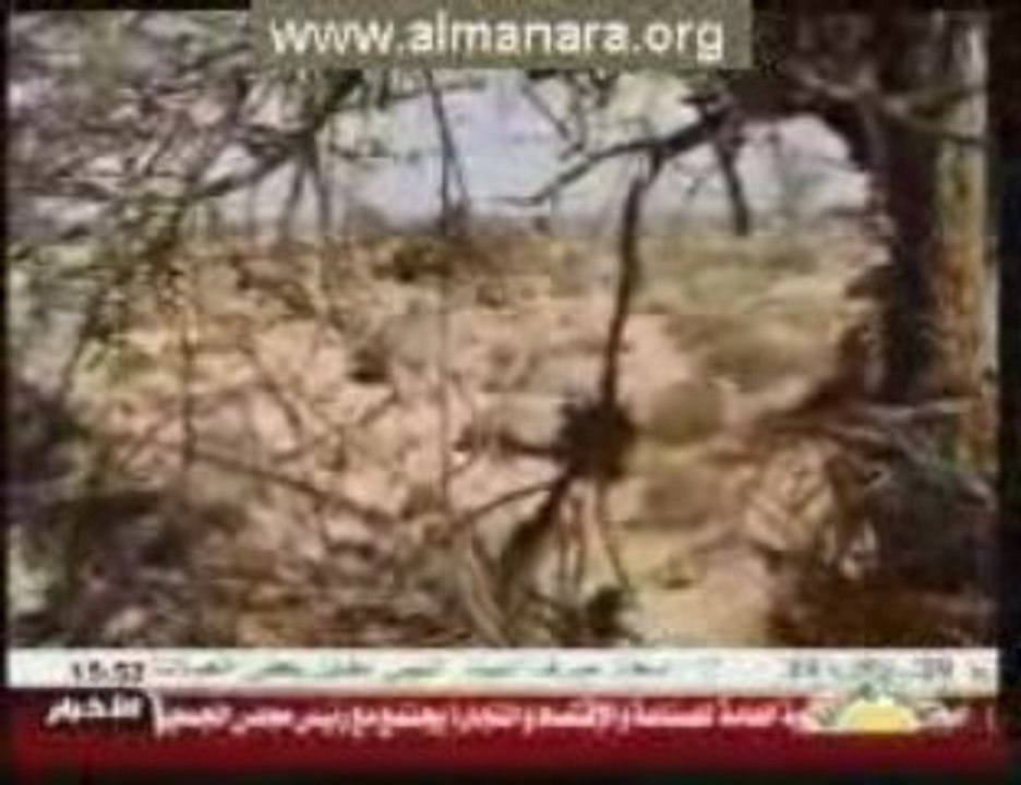 فيلم وثائقي عن الصحراء الليبية