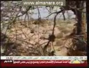 فيلم وثائقي عن الصحراء الليبية