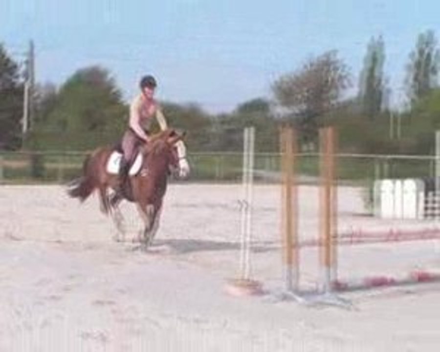 Reij obstacle