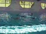 Entrainement de natation synchronisée