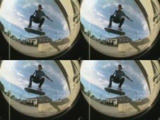 ZOOmunkie Ant Featured Video