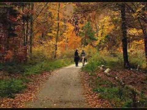 Aslı Güngör-son mektup