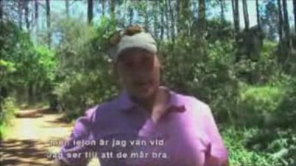 Libero Tiger Collection