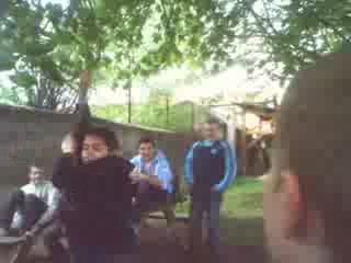 La branche casse mdr