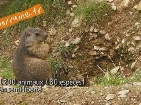 Rhodes - Parc Animalier de Sainte Croix