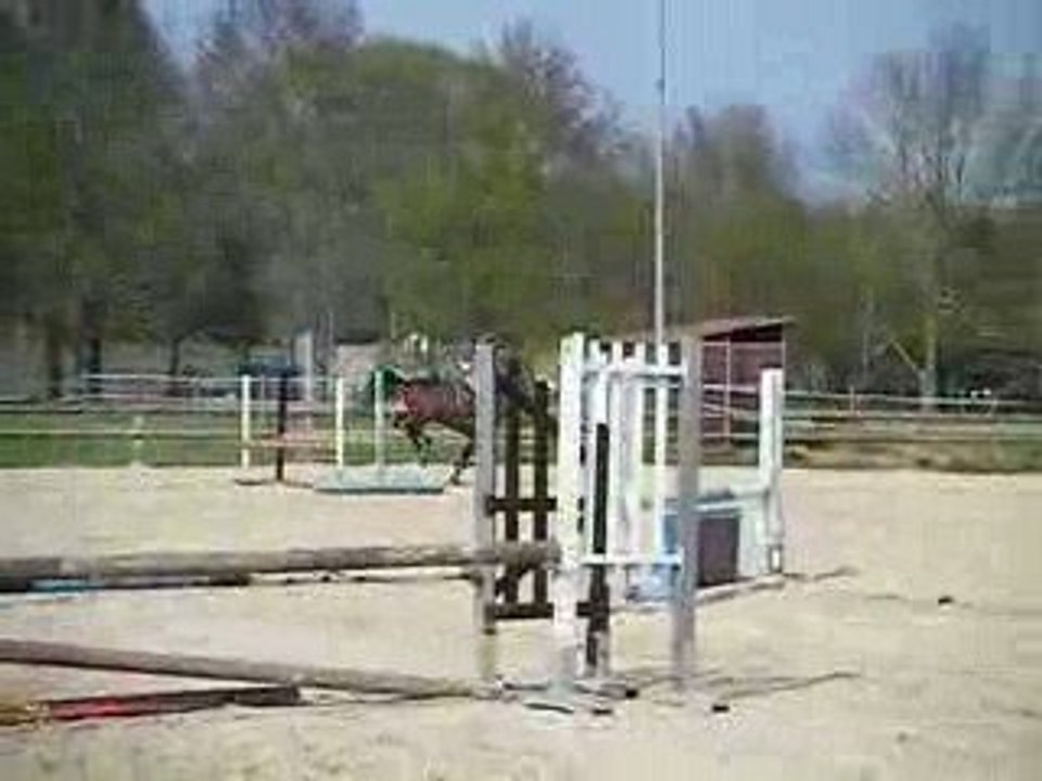 DSCF3570