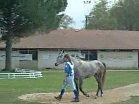 Moi et Naouti trotting initial Uzès 2009