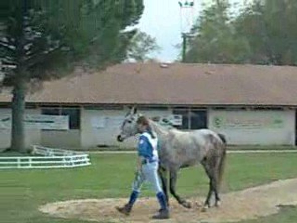 Moi et Naouti trotting initial Uzès 2009