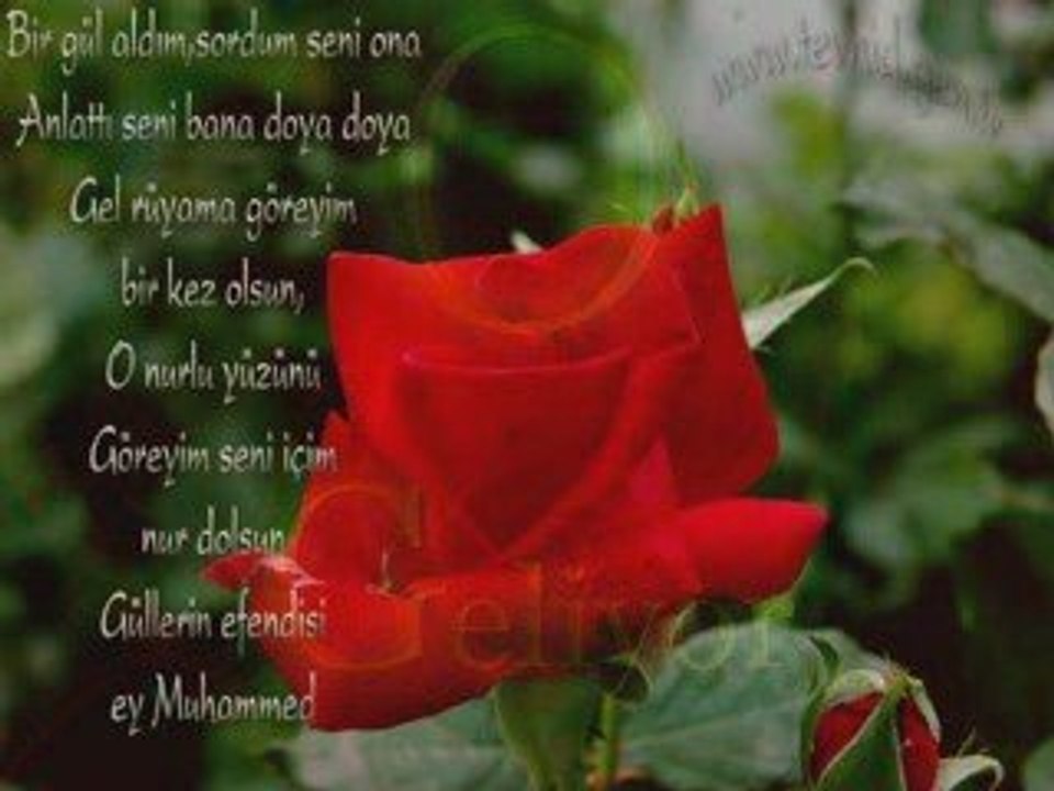 Dursun Ali Erzincanlı - Kırk Yaşındasın