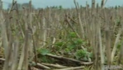 مقنين: إبداع وإلهام من مكنيني