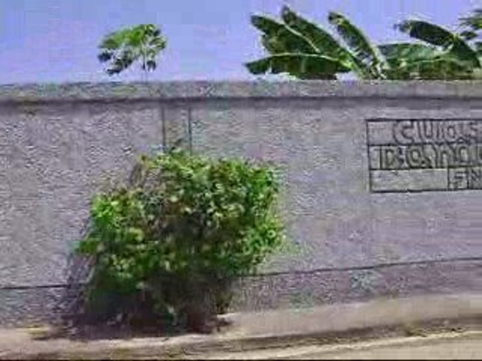 Película 1Q33