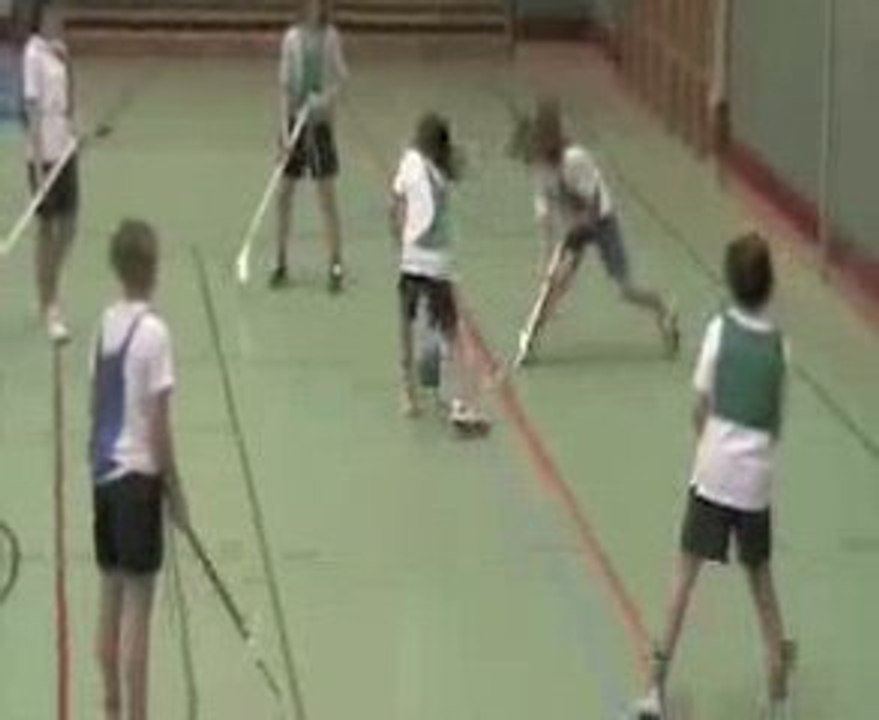 V.I.S. Welcome Film for International Evening by Maurice