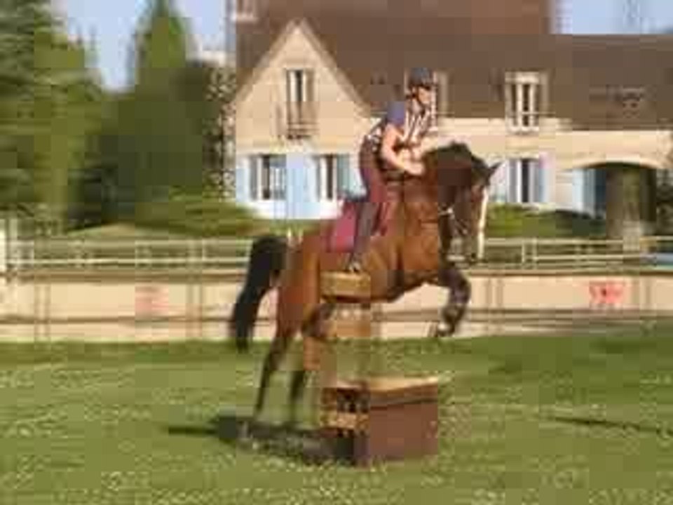 trot pour pointe cross