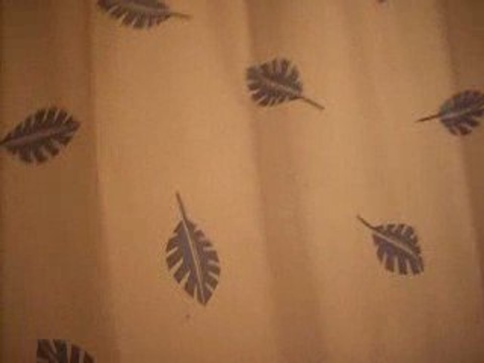 Sous la douche (8)