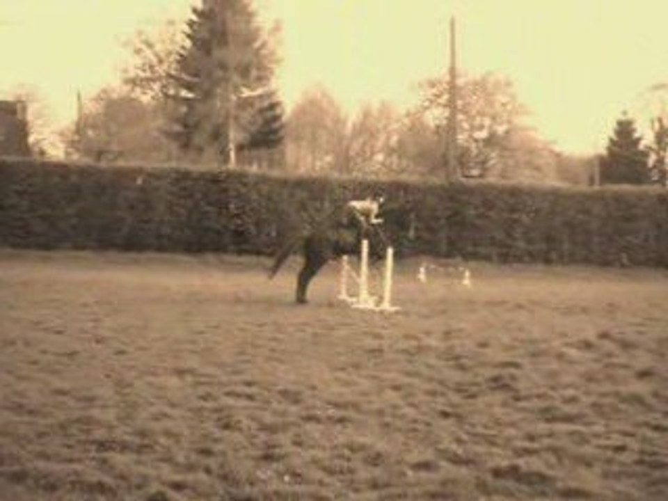 Saut remise en confiance