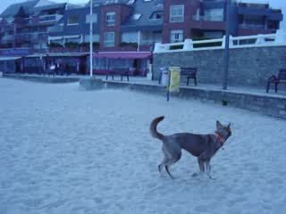 Larmor-Plage 001