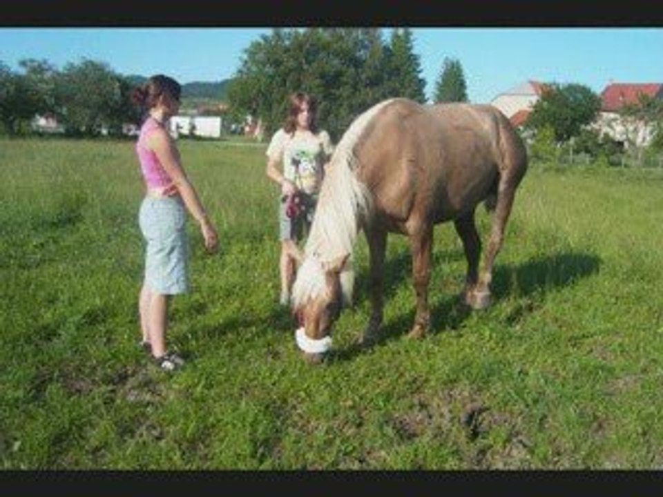 23 juin 2008