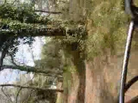 alex en dirtbike 125cc camera enbarquer 4