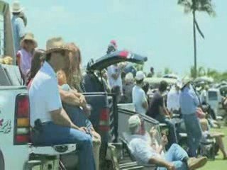 21 Horses Die at Fla. Polo Match