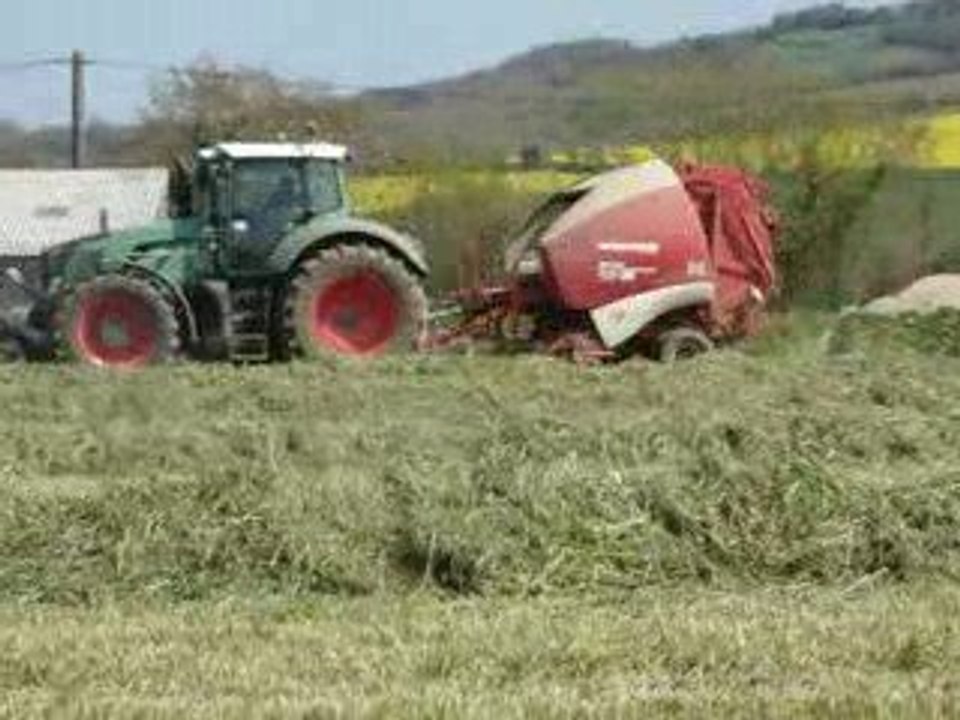 Herbe 2009