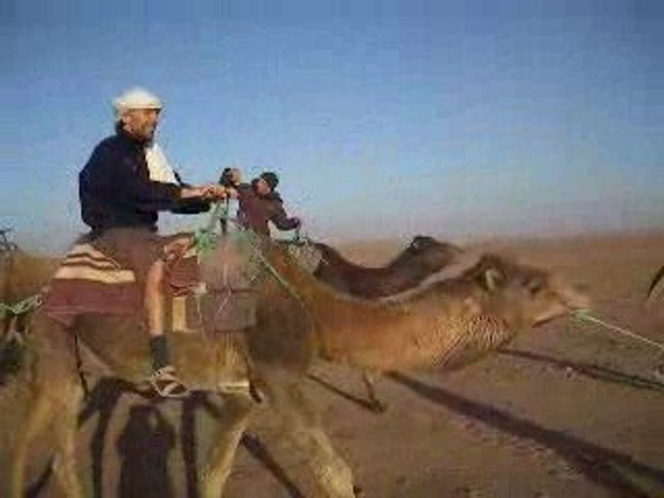 PROMENADES SUR DROMADAIRES-4