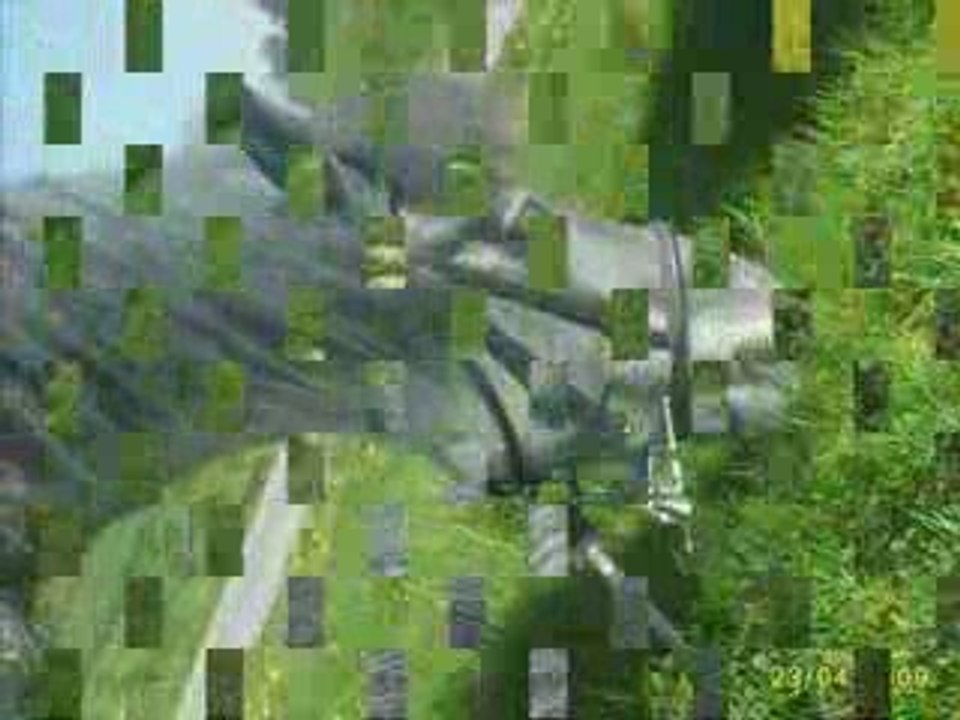 Quatre ans de bonheur avec ma jument