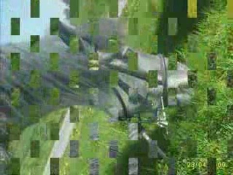 Quatre ans de bonheur avec ma jument