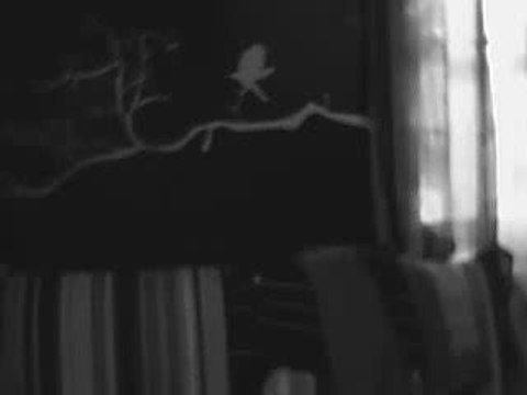 Hallelujah guitare cover jeff buckley