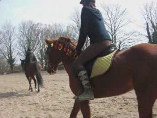 Diaporama du concours  du 22 mars 2009