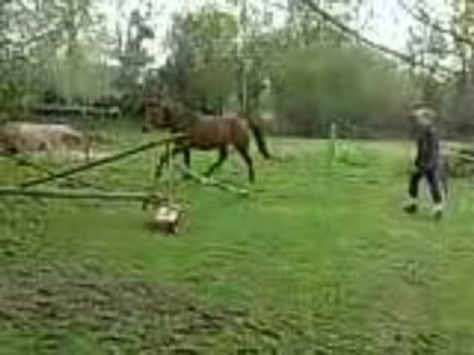 Jasmine saut croisillon