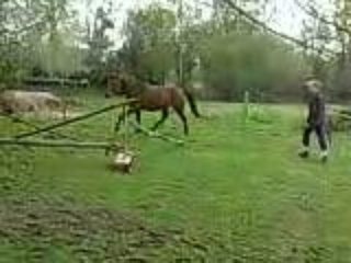 Jasmine saut croisillon