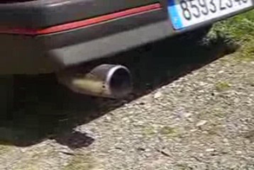 309 gti